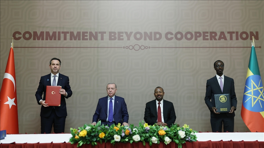 دیدار و مذاکره روسای جمهور ترکیه و اتیوپی در آدیس آبابا