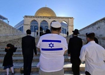 Strong Condemnation of Israel’s Actions by Eight Arab and Islamic Countries