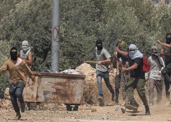 Turkish: Israel must be held accountable for its aggressions in Palestine