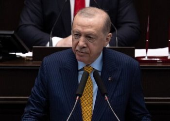 Erdoğan: Israeli Cabinet is the Biggest Obstacle to Peace and Stability in the Region