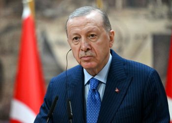 Erdoğan and Mohammed al-Zaydi Discuss Strategic Cooperation between Ankara and Baghdad