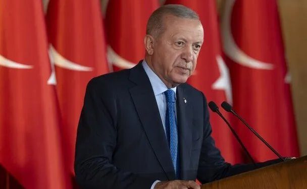 Erdoğan: Zor aşamaları basiret ve sabırla yönettik